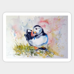 Puffin Sticker